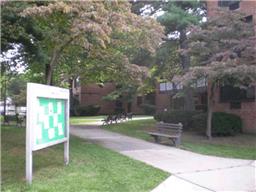 7 Manor, Hempstead, Other, New York, United States 11550, 1 Bedroom Bedrooms, ,1 BathroomBathrooms,Rental,Exclusive agency to sell/lease,Manor,15439528
