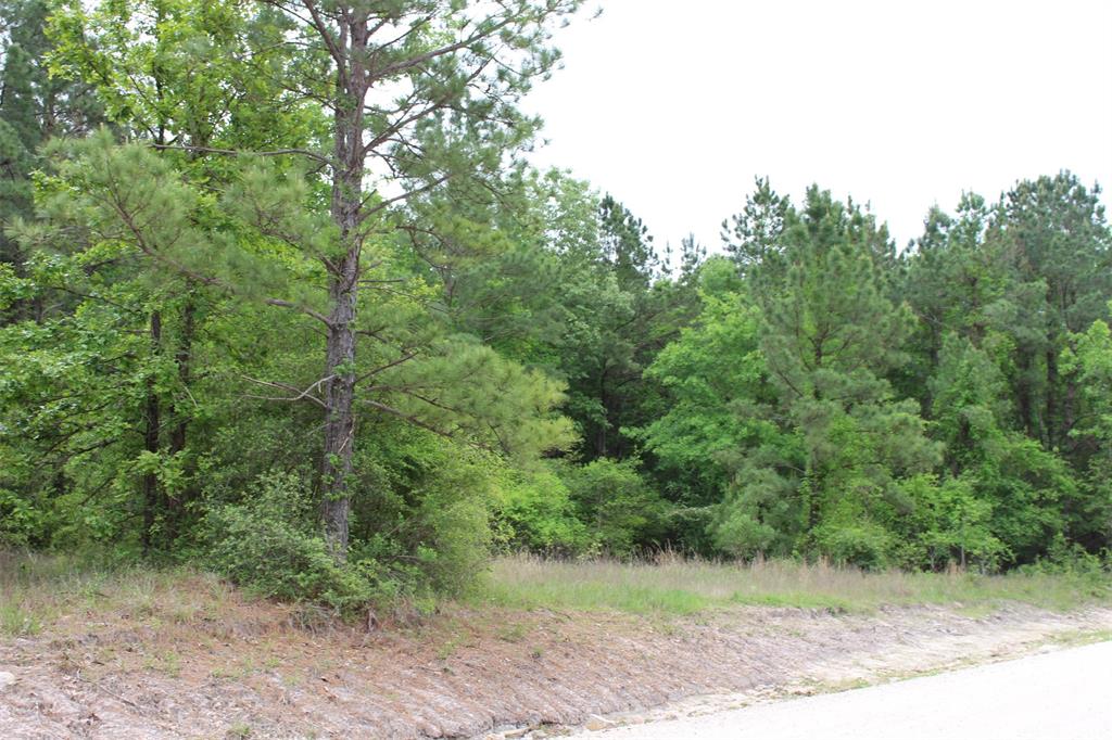 MLS LISTING# 73945705