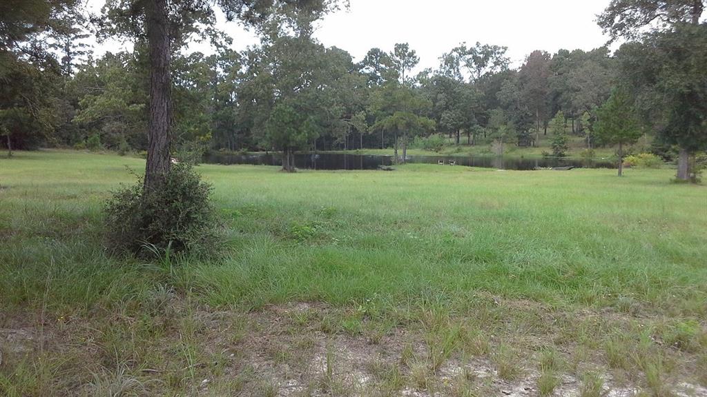MLS LISTING# 51101737