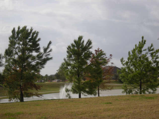 MLS# 85960984 