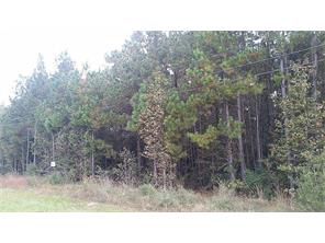 Houston Home at TBD Fm 1314 Conroe , TX , 77302 For Sale Houston Home at TBD Fm 1314 Conroe , TX , 77302 For Sale