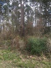 Houston Home at 000000 Fm 2100 Road Crosby , TX , 77532 For Sale Houston Home at 000000 Fm 2100 Road Crosby , TX , 77532 For Sale