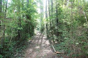 Houston Home at Terminus Deepwood Drive Magnolia , TX , 77355 For Sale Houston Home at Terminus Deepwood Drive Magnolia , TX , 77355 For Sale