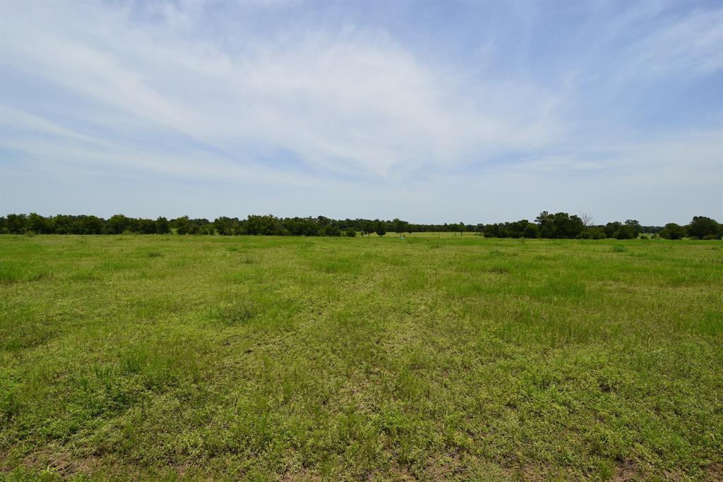 10305 FM 1456, Bellville, Texas 77418, ,Country Homes/acreage,For Sale,FM 1456,42094558