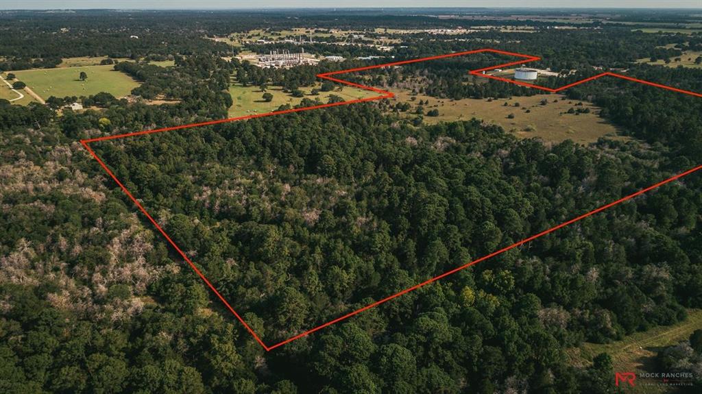 1 Hwy 77, La Grange, Texas 78945, ,Country Homes/acreage,For Sale,Hwy 77,55056611