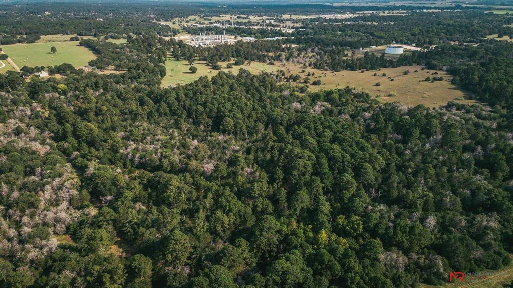 1 Hwy 77, La Grange, Texas 78945, ,Country Homes/acreage,For Sale,Hwy 77,55056611