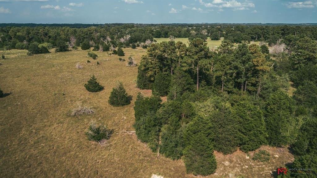 1 Hwy 77, La Grange, Texas 78945, ,Country Homes/acreage,For Sale,Hwy 77,55056611