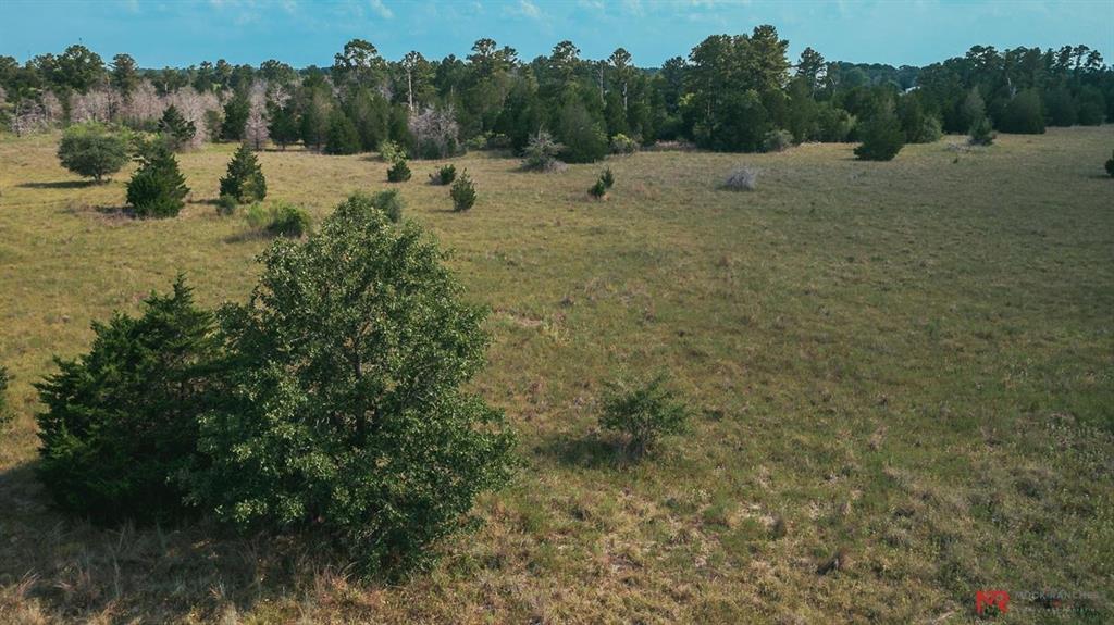 1 Hwy 77, La Grange, Texas 78945, ,Country Homes/acreage,For Sale,Hwy 77,55056611