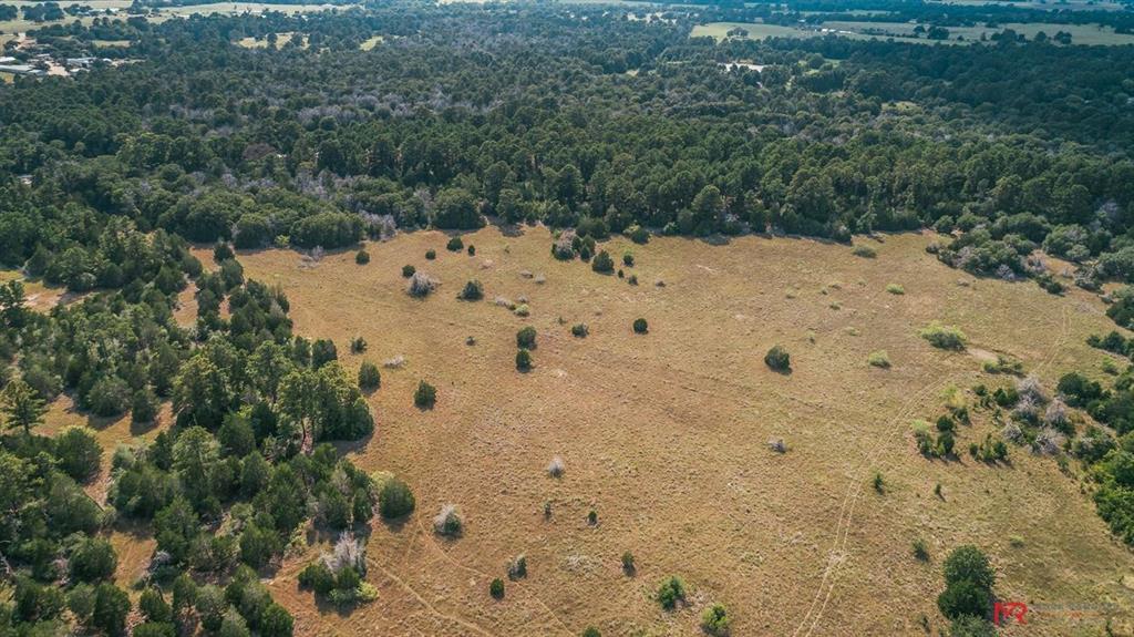 1 Hwy 77, La Grange, Texas 78945, ,Country Homes/acreage,For Sale,Hwy 77,55056611