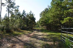 Houston Home at 0 Sandra Dee Avenue Magnolia , TX , 77354 For Sale Houston Home at 0 Sandra Dee Avenue Magnolia , TX , 77354 For Sale