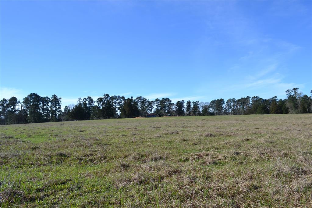 000 Apache, Montgomery, Texas 77316, ,Country Homes/acreage,For Sale,Apache,73052755