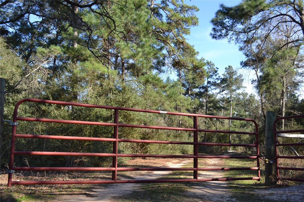 000 Apache, Montgomery, Texas 77316, ,Country Homes/acreage,For Sale,Apache,73052755