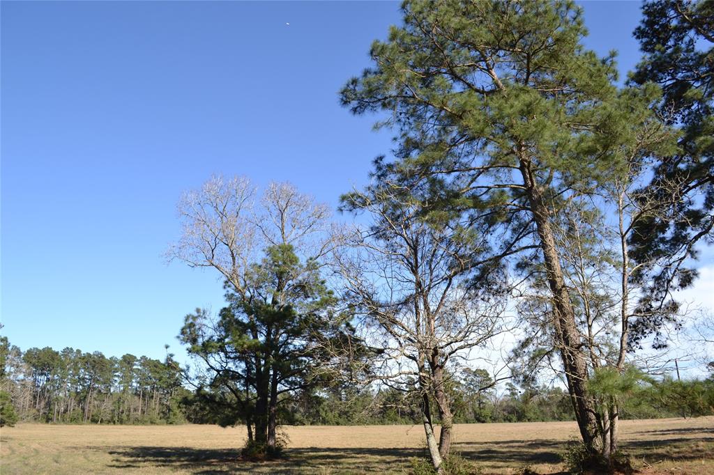 000 Apache, Montgomery, Texas 77316, ,Country Homes/acreage,For Sale,Apache,73052755