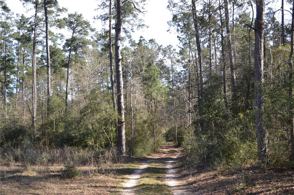 000 Apache, Montgomery, Texas 77316, ,Country Homes/acreage,For Sale,Apache,73052755