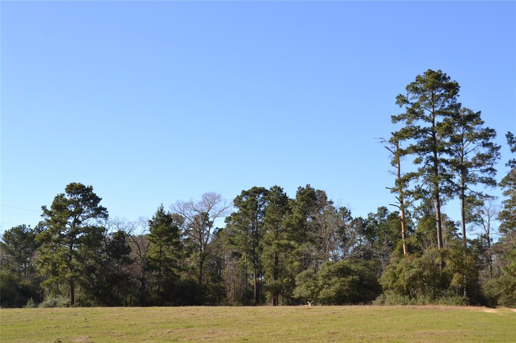 000 Apache, Montgomery, Texas 77316, ,Country Homes/acreage,For Sale,Apache,73052755