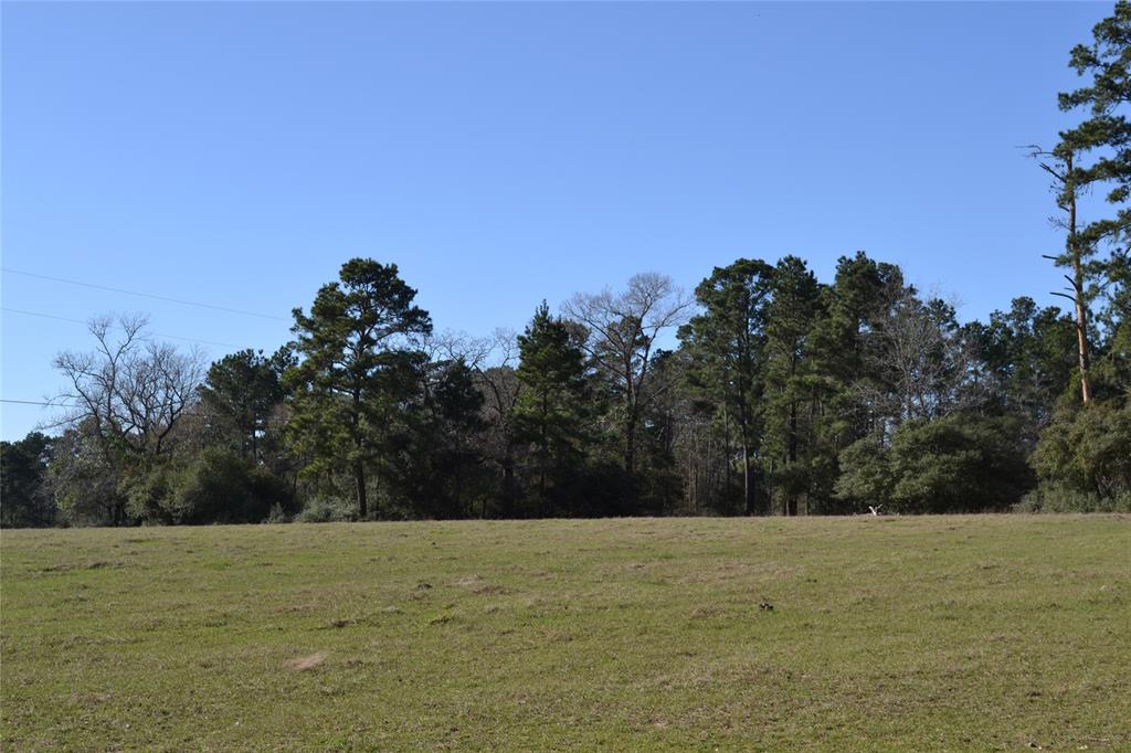 000 Apache, Montgomery, Texas 77316, ,Country Homes/acreage,For Sale,Apache,73052755