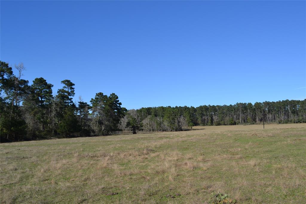000 Apache, Montgomery, Texas 77316, ,Country Homes/acreage,For Sale,Apache,73052755