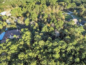Houston Home at 10103 Crestwater Circle Magnolia , TX , 77354 For Sale Houston Home at 10103 Crestwater Circle Magnolia , TX , 77354 For Sale