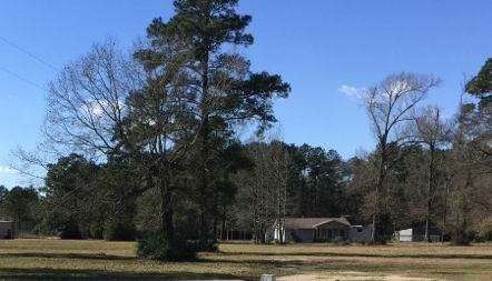 20698 1 US Highway 59, New Caney, Texas 77357, 2 Bedrooms Bedrooms, 5 Rooms Rooms,1 BathroomBathrooms,Country Homes/acreage,For Sale,US Highway 59,38381278