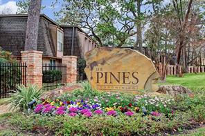 The Pines Cond #7