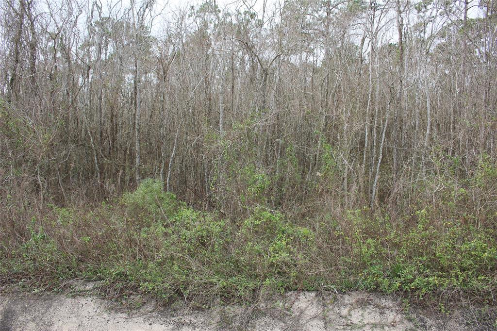 0000 HWY 3 Highway, Texas City, Texas 77591, ,Country Homes/acreage,For Sale,HWY 3,82602584