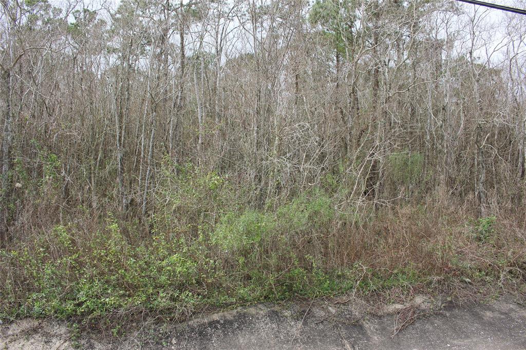 0000 HWY 3 Highway, Texas City, Texas 77591, ,Country Homes/acreage,For Sale,HWY 3,82602584