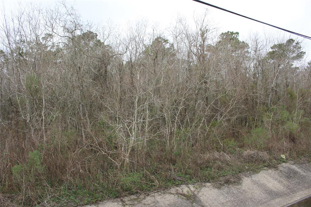 0000 HWY 3 Highway, Texas City, Texas 77591, ,Country Homes/acreage,For Sale,HWY 3,82602584