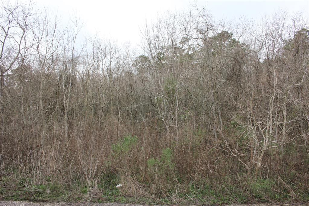 0000 HWY 3 Highway, Texas City, Texas 77591, ,Country Homes/acreage,For Sale,HWY 3,82602584