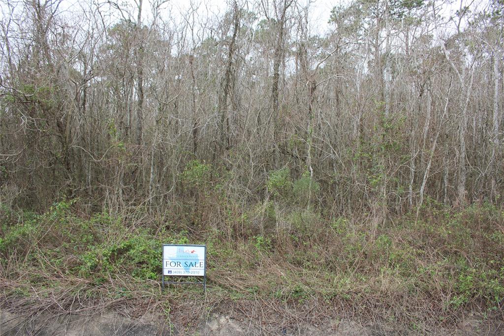 0000 HWY 3 Highway, Texas City, Texas 77591, ,Country Homes/acreage,For Sale,HWY 3,82602584
