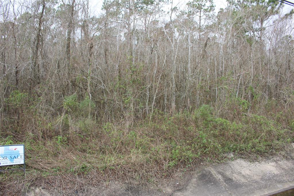 0000 HWY 3 Highway, Texas City, Texas 77591, ,Country Homes/acreage,For Sale,HWY 3,82602584