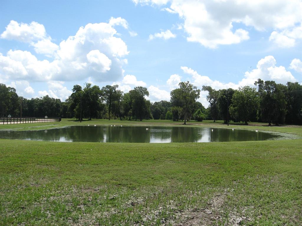 Lot 379 Sour Lake Circle