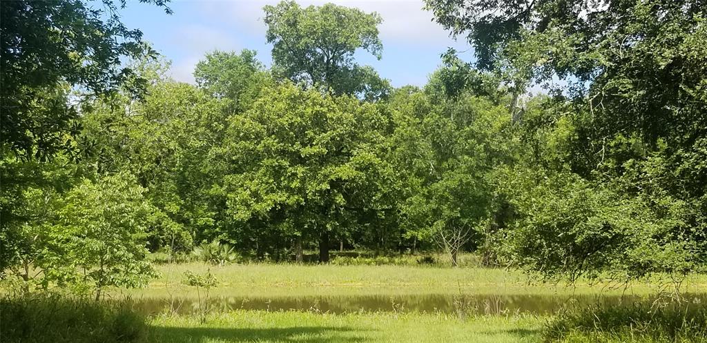 Lot 444 Center Drive