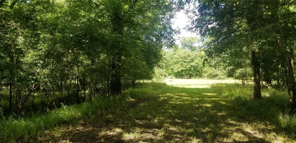 Lot 444 Center Drive
