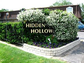 The Hidden Hollow #8