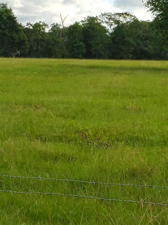 4393 FM 1459, Sweeny, Texas 77480, ,Lots,For Sale,FM 1459,58566928