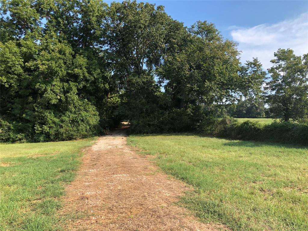 7392 Pecan Hills, Plantersville, TX 77363