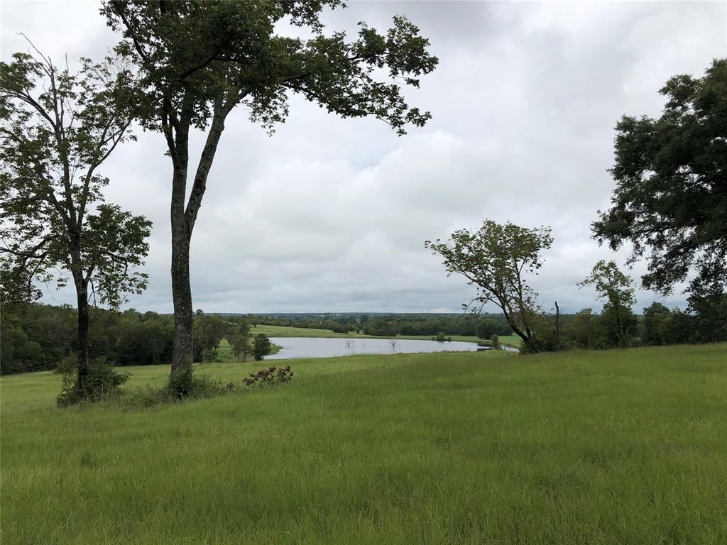 7392 Pecan Hills, Plantersville, TX 77363