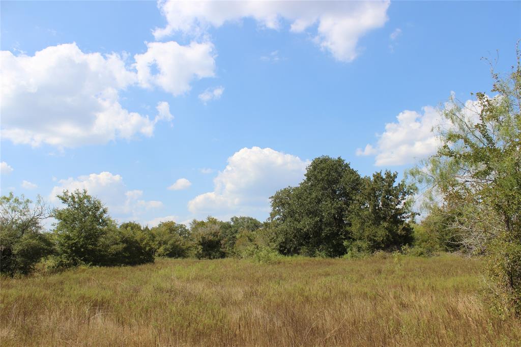 737 County Road 516 Waelder, Texas Beautiful rolling heavily wooded property with Live Oak, Post Oak, Mesquite and other native browse and grasses with Gonzales County Road 516 frontage for access. This place is located between Houston and San Antonio just Southeast of Waelder near the towns of Gonzales and Flatonia in Eastern Gonzales County. This place could make a nice building site or recreational property. Native wildlife in the area include Whitetail deer, turkey and feral hogs. The property has a view of the surrounding country side to the South. The elevations run from about 310 above msl to 350 above msl. The soils consist of sandy loam overlying a clay subsoil. The property has GVEC electric service available. The Sellers own a portion of the mineral estate and will convey one half of their owned mineral estate to the Buyer at closing. There are additional adjoining tracts available from 25 acres to 49+ acres. See the listing agent for additional information on this and the other available properties.