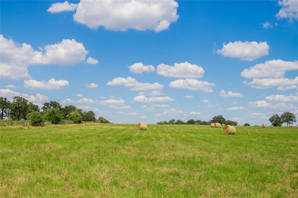 5203 FM 3058 Caldwell, Texas +/- 203.75 acres of improved rolling pasture land with scattered mature oaks and hardwoods located approx. 20 miles west of College Station off paved road. This estate features a 5 bedroom, 3 bathroom home, along with a 2 bedroom, 1 bathroom guest home. Travel through ranch road to find beautiful, secluded views of multiple elevation levels, equipment storage barn with open bays, holding pen, and 6 ponds to provide ample water sources for livestock. The property has perimeter fencing and cross fencing throughout, with cattle lane fenced out for ease in pasture rotation. Ag exempted and currently used for a cow/calf operation and hay production.