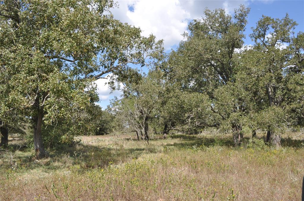 TBD Fm 1682 Leesville, Texas Located Southwest of Gonzales this 55+ acre tract features rolling terrain, pond, scattered trees, and a water well. This property is secluded and ideal for weekend or recreational use. Wildlife that inhabit the property include whitetail deer, hogs, turkey, doves, and ducks.