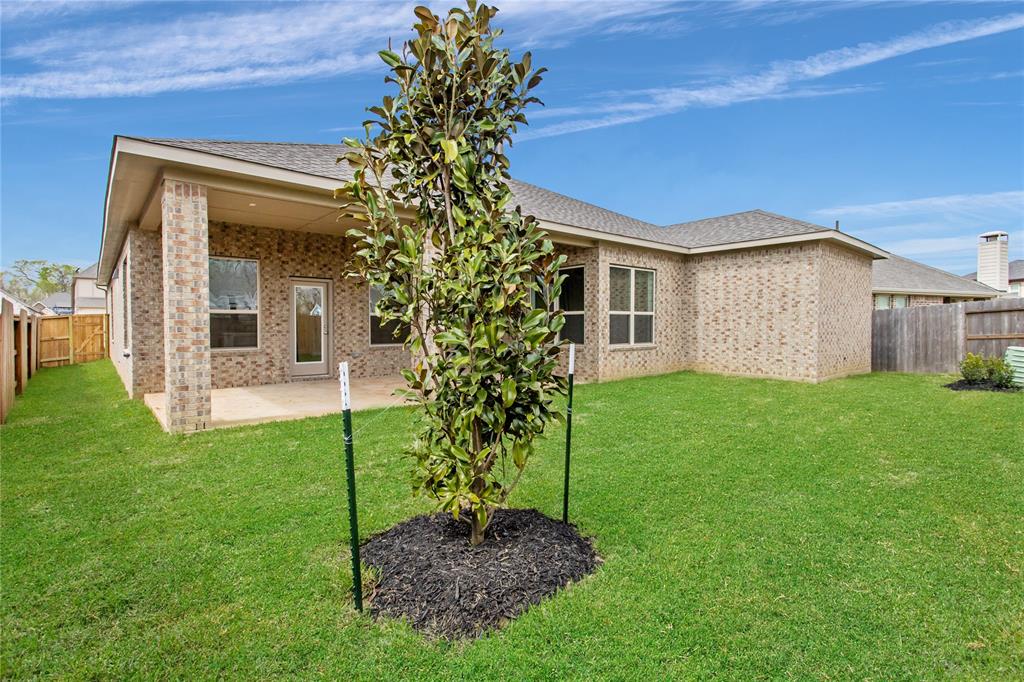 Houston Arbor Care Tree Svc Reviews Katy Tx Angie S List