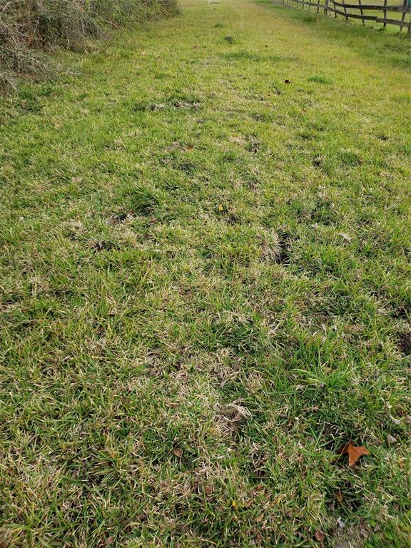 Bayou Country Alvin, Texas 1.84 acres, planted with many fruit trees, property has a small well, heavily wooded in a great neighborhood. Gate in front of property for viewing.
