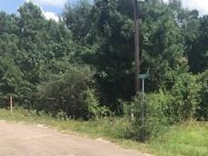 11 Elendor Drive Cleveland, Texas Large secluded lot for your new home. Power and water available on the street. Mobiles OK. Will need septic. Build towards the front and run cattle or horses on the back. Survey available.