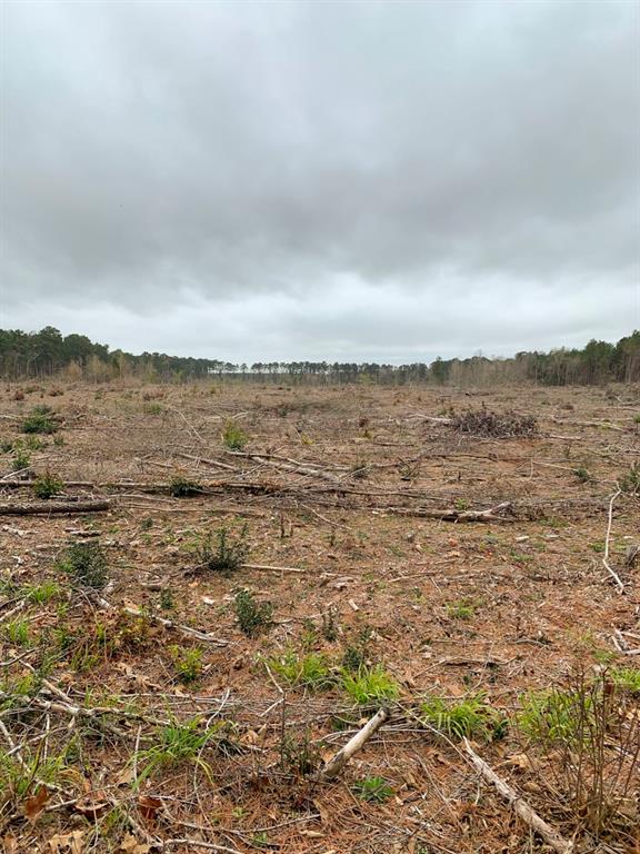 2200 CR 422 Chireno, Texas Recently harvested, ready for food plots, replanting, or natural regrowth of native hardwoods & pine. Not far from weekend recreation for anglers on north Sam Rayburn Reservoir!