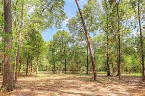 Houston Home at For Sale Houston Home at For Sale