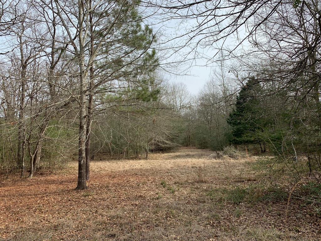 3518 CR 146 Centerville, Texas 5.29 acres "move-in ready"! There is an 800 sq. ft. cabin with 2 bedrooms and 1 bath, plus a kitchen and living room. A nice wooded deck is out the back of the house. There is a 12'x25' enclosed shop and a 12'x40' carport. The land is mostly wooded with nice oaks and hardwoods.