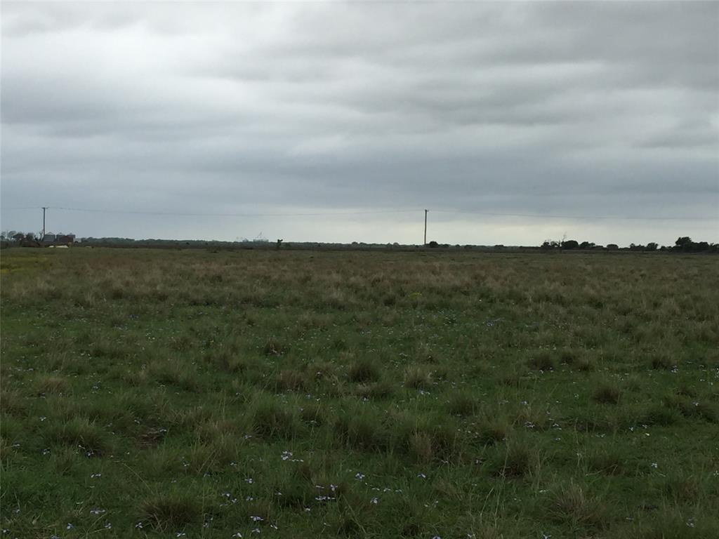 000 Beckendorff Road Sealy, Texas Current cattle pasture. Land is level and out of flood zone. Final acreage determined by survey. Seller to provide access with culvert and gate.