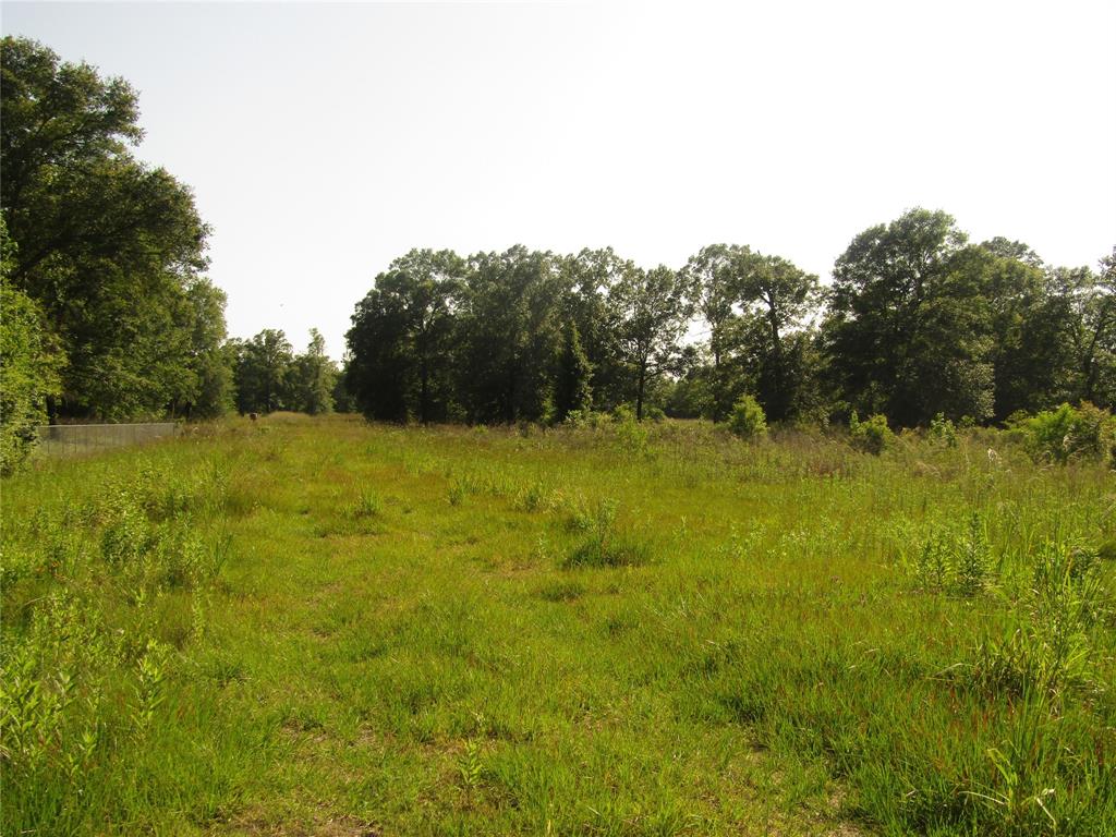 TBD W Vess Drive Livingston, Texas ENDLESS possibilities for this 21.271 +/- acres. Property is located approximately two miles West of the rapidly growing City of Livingston. This property would offer a great opportunity for an RV park, mobile home park or build your dream home. Areas of the property offer seclusion for privacy. Call today and let's discuss the options for this gorgeous property.