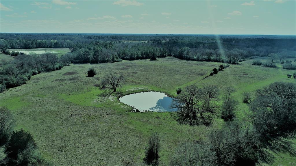 TBD CR 3456 Lovelady, Texas SECLUDED GET-AWAY!
If you’re looking for that perfect 50-acre tract for a weekend getaway, cattle place, or to build that new home, this is it! This property is within 10-minutes of the great town of Lovelady – convenience of town amenities with peaceful, country living. This property is fenced, has a nice pond, and a creek running through part of the property. It is mostly open, making it idea for cattle or horses. Water and electricity are available at the road. Call us today to see what this tract has to offer you!