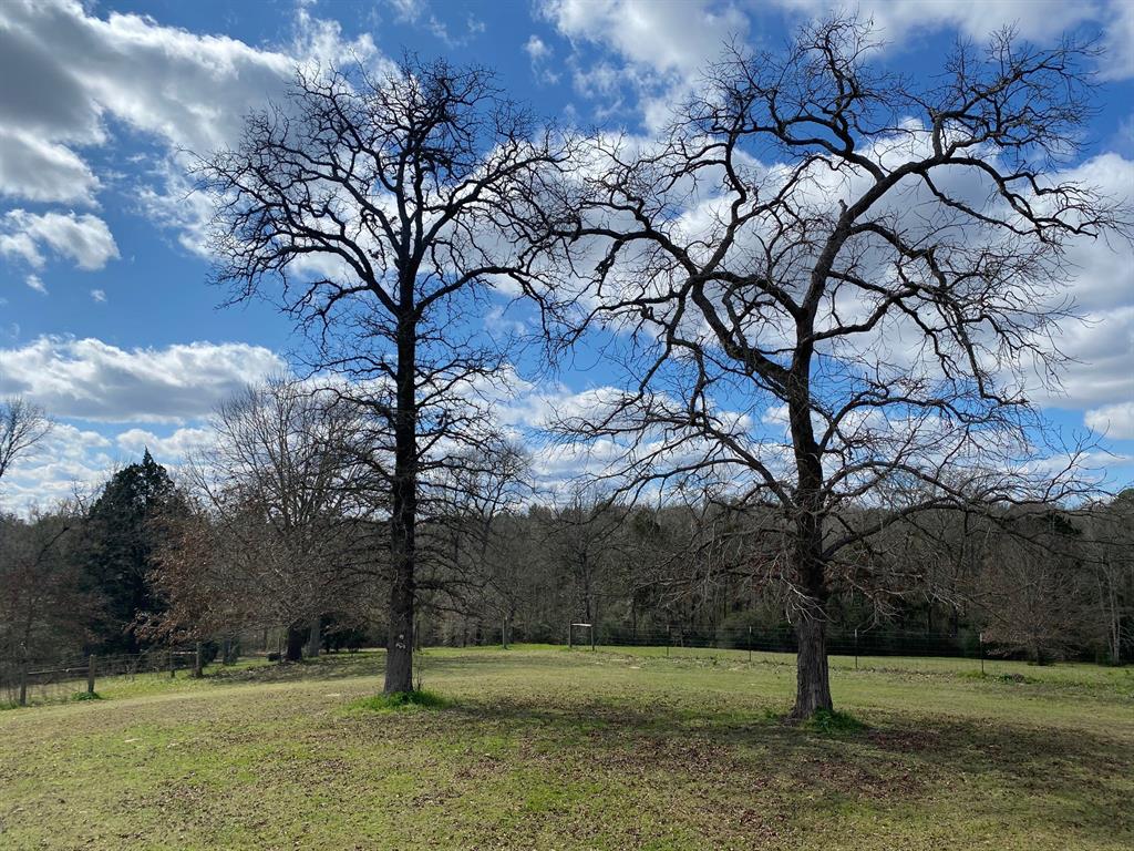12160 CR 268 Buffalo, Texas 4 bedroom, 2 bath mobile home on 16 acres just south of Buffalo. Beautiful rolling land with gigantic hardwood trees scattered throughout the improved pasture. There are lots of extras including a working shed, a barn, green house, and cattle pens. The property is fenced and cross fenced and has a nice creek that runs through the back of the property. The home is very spacious with over 2100 sq. ft. of living area. Nice open concept with large living room with a wood burning fire place. There is plenty of storage with several large closets and shelf space. The outside is complete with three decks and a hot tub.
